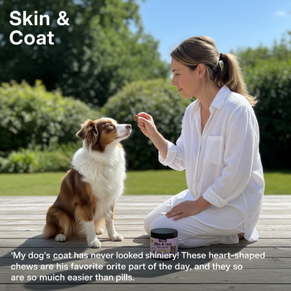 Skin & Coat Soft Chews